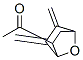 Ethanone, 1-[5,6-bis(methylene)-7-oxabicyclo[2.2.1]hept-2-yl]-, endo- (9CI) CAS#: 155004-12-9