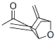 Ethanone, 1-[5,6-bis(methylene)-7-oxabicyclo[2.2.1]hept-2-yl]-, exo- (9CI) CAS#: 155004-13-0