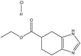 Ethyl 4,5,6,7-tetrahydro-1H-benzo[d]iMidazole-6-carboxylate hydrochloride CAS#: 167545-99-5