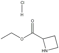 Ethyl azetidine-2-carboxylate hydrochloride CAS#: 162698-21-7