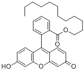 FLUORESCEIN DODECYL ESTER CAS#: 155556-89-1