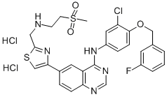 GW583340 DIHYDROCHLORIDE CAS#: 388082-81-3