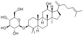 Ginsenoside Rk2 CAS#: 364779-14-6