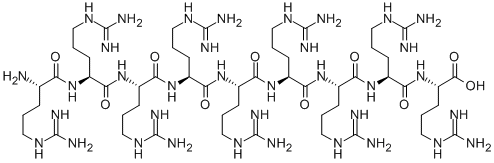 H-ARG-ARG-ARG-ARG-ARG-ARG-ARG-ARG-ARG-OH CAS#: 143413-47-2