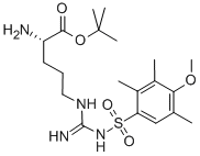 H-ARG(MTR)-OTBU CAS#: 115608-61-2