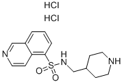Isoquinoline-5-sulfonic acid (piperidin-4-ylmethyl)-amide  dihydrochloride CAS#: 126264-57-1