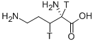 L-ORNITHINE-[2,3-3H] CAS#: 128551-39-3