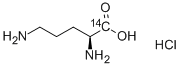 L-ORNITHINE-CARBOXY-14C HYDROCHLORIDE CAS#: 117961-28-1