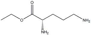 L-ORNITHINE ETHYL ESTER CAS#: 4189-46-2