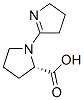 L-Proline, 1-(3,4-dihydro-2H-pyrrol-5-yl)- (9CI) CAS#: 153620-64-5