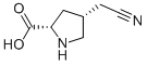 L-Proline, 4-(cyanomethyl)-, cis- (9CI) CAS#: 119595-96-9