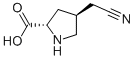 L-Proline, 4-(cyanomethyl)-, trans- (9CI) CAS#: 119595-95-8