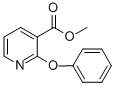 METHYL 2-PHENOXYNICOTINATE CAS#: 36701-88-9