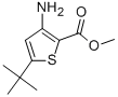 METHYL 3-AMINO-5-(TERT-BUTYL)THIOPHENE-2-CARBOXYLATE CAS#: 175137-03-8