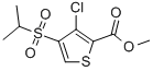 METHYL 3-CHLORO-4-(ISOPROPYLSULFONYL)THIOPHENE-2-CARBOXYLATE CAS#: 175201-99-7
