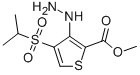 METHYL 3-HYDRAZINO-4-(ISOPROPYLSULFONYL)THIOPHENE-2-CARBOXYLATE CAS#: 175201-97-5