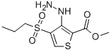 METHYL 3-HYDRAZINO-4-(PROPYLSULFONYL)THIOPHENE-2-CARBOXYLATE CAS#: 175202-01-4