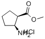 METHYL CIS-2-AMINOCYCLOPENTANECARBOXYLATE HYDROCHLORIDE CAS#: 119993-55-4