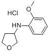 N-(2'-METHOXYL-PHENYL)-TETRAHYDROFURAN-3-YLAMINE HYDROCHLORIDE CAS#: 162851-45-8