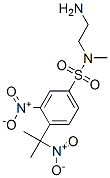 N-(2-aminoethyl)-N-methyl-3-nitro-4-(1-methyl-1-nitroethyl)benzenesulfonamide CAS#: 126813-43-2
