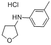 N-(3'-METHYL-PHENYL)-TETRAHYDROFURAN-3-YLAMINE HYDROCHLORIDE CAS#: 162851-44-7