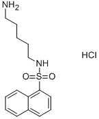 N-(5-AMINOPENTYL)-1-NAPHTHALENESULFONAMIDE HCL CAS#: 35517-11-4