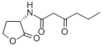 N-(BETA-KETOCAPROYL)-DL-HOMOSERINE LACTONE CAS#: 143537-62-6