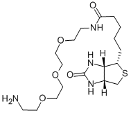 N-BIOTINYL-3,6,9-TRIOXAUNDECANE-1,11-DIAMINE CAS#: 359860-27-8