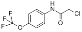 N-(CHLOROACETYL)-4-(TRIFLUOROMETHOXY)ANILINE CAS#: 161290-85-3