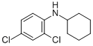 N-CYCLOHEXYL-2,4-DICHLOROANILINE CAS#: 132666-31-0