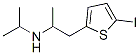 N-isopropyl-2-(2-aminopropyl)-5-iodothiophene CAS#: 137945-40-5