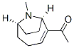 N-methylanatoxin CAS#: 120786-68-7