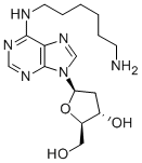 N6-(6-AMINOHEXYL)-2'-DEOXYADENOSINE CAS#: 147218-60-8
