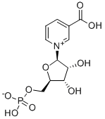 NICOTINIC ACID MONONUCLEOTIDE CAS#: 321-02-8