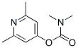 N,N-Dimethylcarbamic acid 2,6-dimethyl-4-pyridyl ester CAS#: 3567-51-9