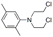 N,N-bis(2-chloroethyl)-2,5-dimethyl-aniline CAS#: 39643-98-6