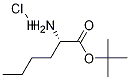 Norleucine tert-butyl ester hydrochloride CAS#: 119483-48-6
