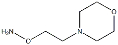 O-(2-Morpholin-4-yl-ethyl)-hydroxylaMine CAS#: 42476-63-1