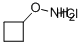O-Cyclobutyl-hydroxylamine hydrochloride CAS#: 137270-23-6