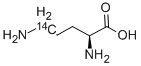 ORNITHINE, L-, [5-14C] CAS#: 30134-60-2