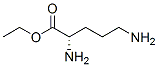 Ornithine, ethyl ester (9CI) CAS#: 125511-25-3