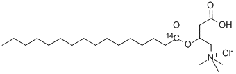 PALMITOYL CARNITINE CHLORIDE, L-, [PALMITOYL-1-14C] CAS#: 34553-18-9