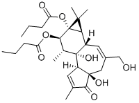 PHORBOL 12,13-DIBUTYRATE CAS#: 37558-16-0