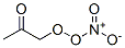 Peroxynitric acid, 2-oxopropyl ester (9CI) CAS#: 158475-28-6
