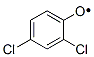 Phenoxy, 2,4-dichloro- CAS#: 3317-66-6