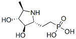 Phosphonic acid, [2-[(2R,3R,4R,5R)-3,4-dihydroxy-5-methyl-2-pyrrolidinyl]ethyl]- (9CI) CAS#: 339186-29-7