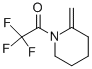 Piperidine, 2-methylene-1-(trifluoroacetyl)- (9CI) CAS#: 312533-00-9