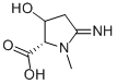 Proline, 3-hydroxy-5-imino-1-methyl- (9CI) CAS#: 162763-50-0