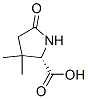 Proline, 3,3-dimethyl-5-oxo- (9CI) CAS#: 141978-97-4