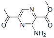 Pyrazinecarboxylic acid, 5-acetyl-3-amino-, methyl ester (9CI) CAS#: 135673-69-7